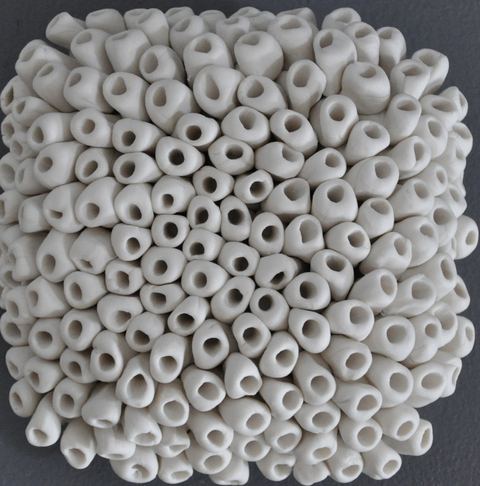 Microlichen_main
