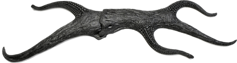 Blackbranchform_main