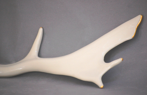Fallow_deer_-_details_main