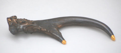 Whitetail_-_metallic_black_main