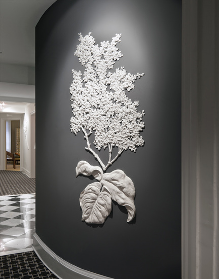 French_hydrangea_main