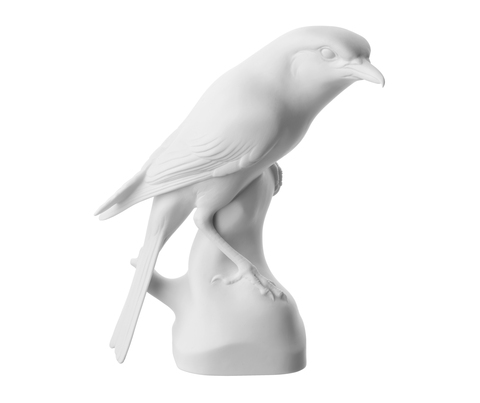 00.908_shrike_white_bis_main