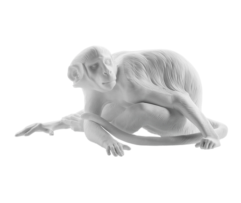 16.526_monkey_white_bis_copy_main