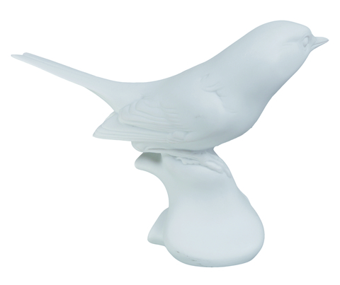 00899_robin_white_bis_main