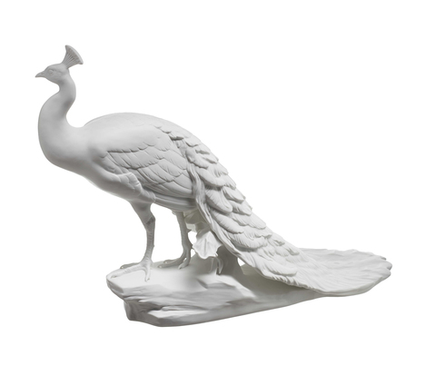 15585_tavous_white_bis_copy_main