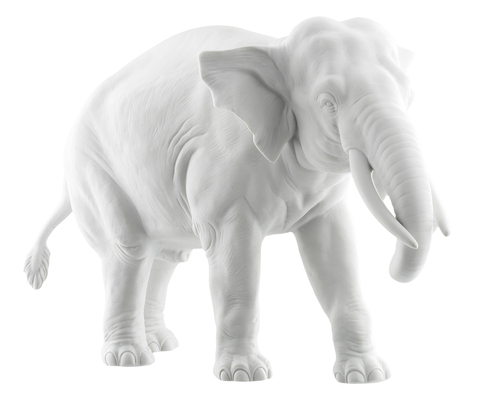 18605_elephant_trunk_down_white_bis-1_copy_main