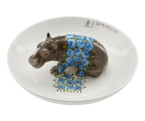 15734_hj_bowl_with_hippo_copy_main