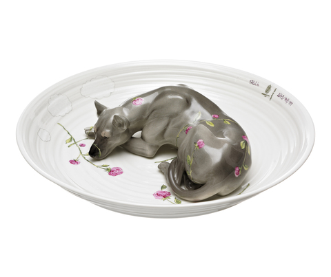 20.206_hj_bowl_with_dog_copy_main