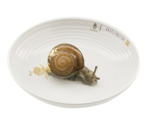 15731_hj_bowl_with_snail_copy_main