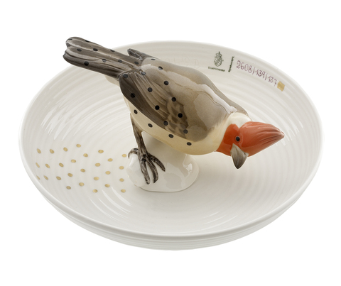 15733_hj_bowl_with_bird_copy_main