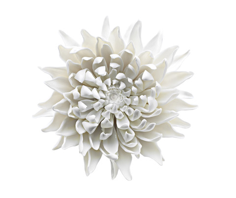 20.318_chrysamthemum_painted_copy_main
