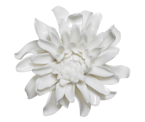 19174_chrysanthemum_small_white_copy_main