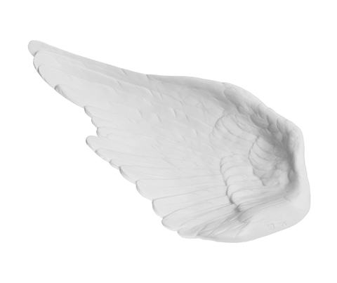 10971_1735_tm_birds_wing_white_bis_main