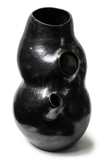 Black_kidney__1__main
