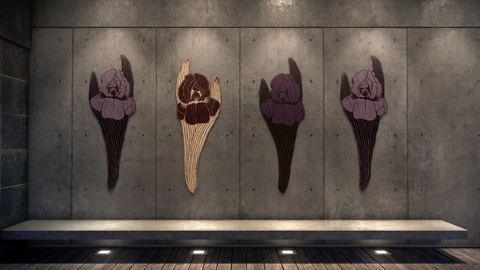 1.iris_main