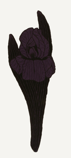 1.iris2_main